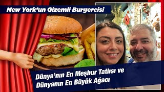 New York’un Gizemli Burgercisi | Dünya’nın En Meşhur Tatlısı ve Dünyanın En Büyük Ağacı