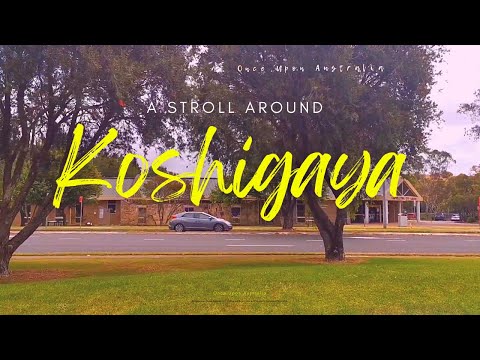 Exploring Campbelltown NSW: A stroll around Koshigaya 🌳🏞️