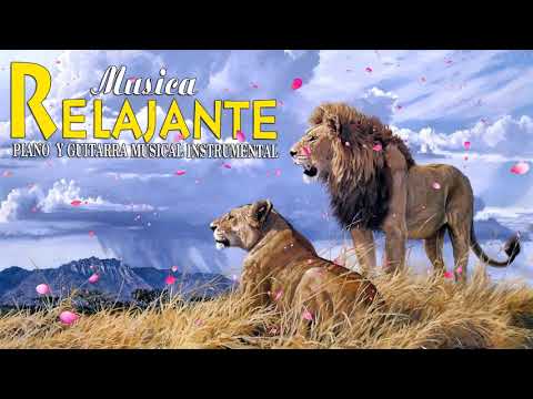 Grandes Boleros Orquestados En Piano y Guitarra Musical Instrumental Grandes Exitos Instrument