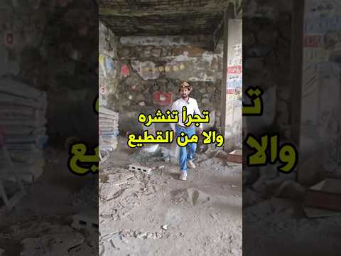 Yemeni Windows Media