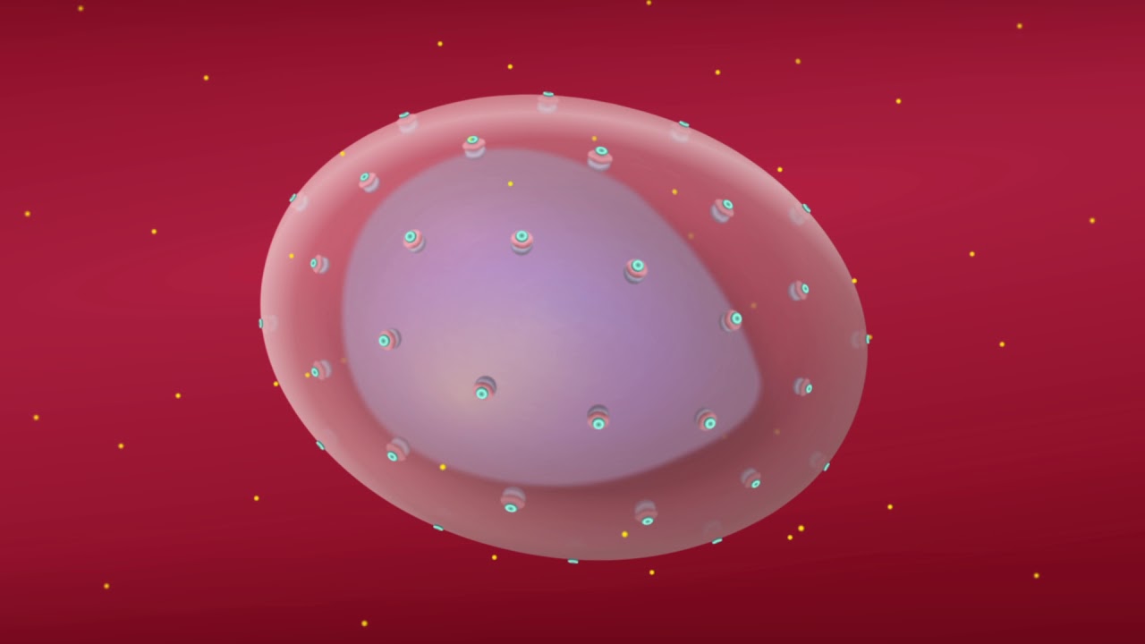 Understanding How Malaria Parasites Take Over Human Red Blood Cells