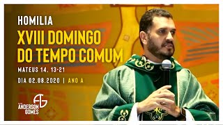 HOMILIA 18º Domingo do Tempo Comum (Mt 14, 13-21/Ano A) - 02/08/20
