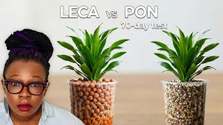 LECA vs PON: Which Semi Hydroponics Setup Works Best for Dracaena?