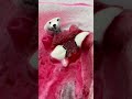 Blast Joy Бомбочка для ванны "Мишка с сердцем"