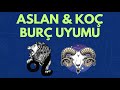 Aslan ve Koç Burç Uyumu | Aşk, İlişki ve Karakter Uyumu