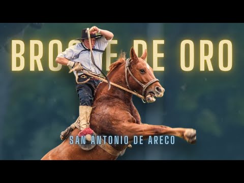 Jineteada en San Antonio de Areco - Broche de oro