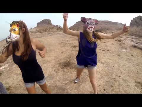 Bye Bye Land - Hooded Fang
