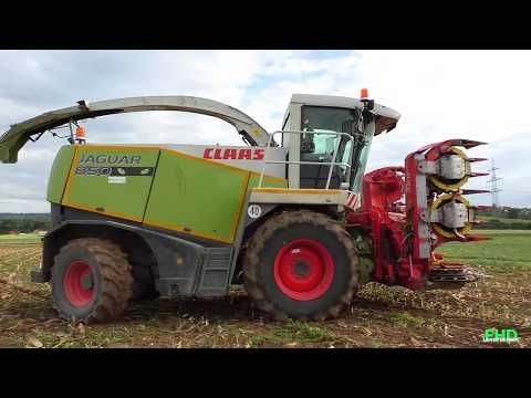 Der Erste Mais 2017 fällt | Maishäckseln 2017