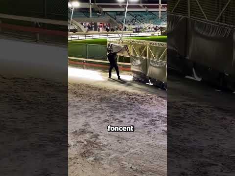 Comment Se Terminent Les Courses De Lévriers ? Découvre-le ! 🧐🐶