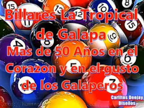 COMPAS NATIONAL - ACCOLADE - MUSA ORIGINAL