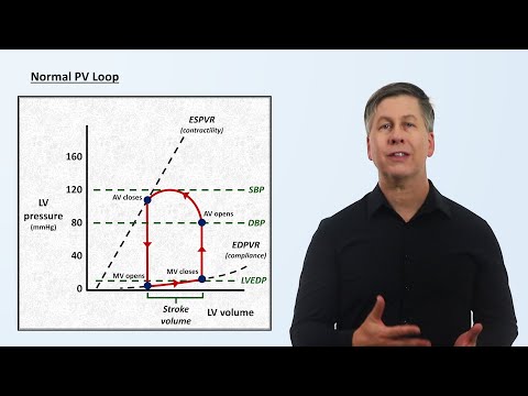 The Cardiac Cycle and PV Loops