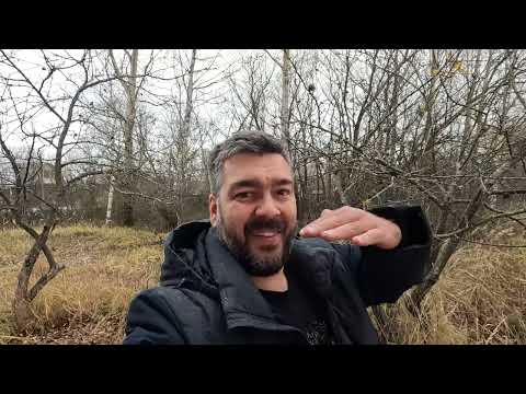 Купил GoPro 10 и уехал в УСАДЬБУ! РОЛИК В 4К! / Арстайл /