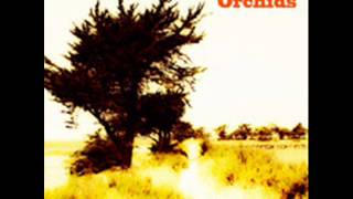 The Orchids - Something's Going On