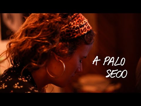 Ana Cañas - A Palo Seco (Visualizer)