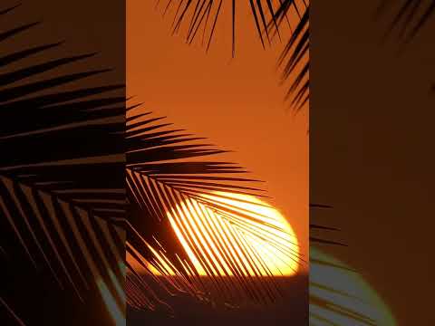 Green flash sunset phenomena!