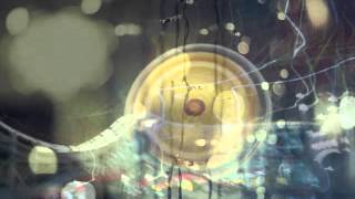 Ani DiFranco &quot;Serpentine&quot; Poem