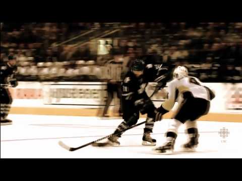 Toronto Maple Leafs - The Aftermath