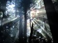 Surah Nur Light Abu Bakr Ash Shatri Superb Quality Part 2 Recorded Live
