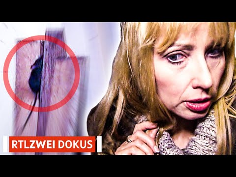 Six children lost due to hoarding chaos??!! | The Hoarding Team | RTLZWEI Documentaries