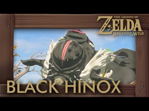 Zelda Breath of the Wild - All Black Hinox Locations