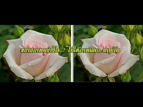 ขยายเต้านมโดยไม่ต้องผ่าตัด ฉันมีหน้าอกเล็กไม่สามารถเลือกชุดว่ายน้ำ