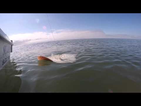 Wind farm fishing trip. 54 miles. Irish sea. From blackpool