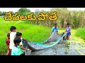 Chepalaki Poinam Kani Dheeraj Lp My Village Comedy