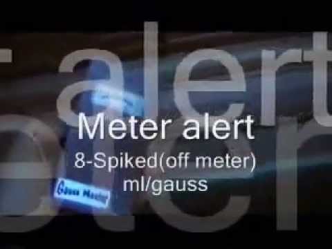 Flager Mansion - Whitehall Video 2