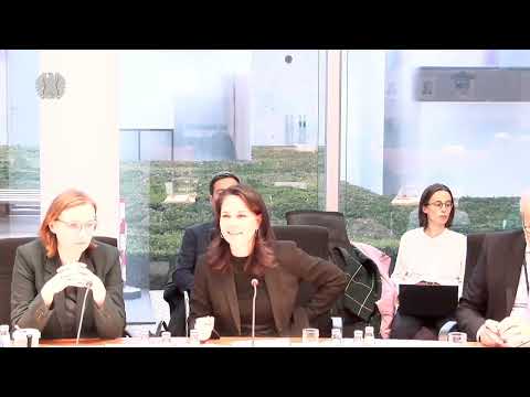 Vorbereitung der Weltklimakonferenz COP29