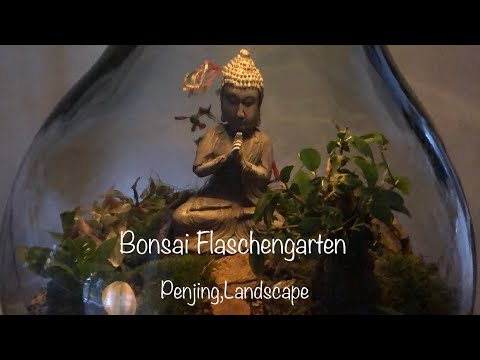 Easy Bonsai Care Beginners Landscape Update/Bonsai oder Kleinholz 2023-36
