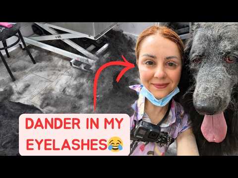 Clean My Shop With Me After a MASSIVE De-shed!