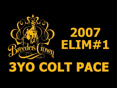 2007 Breeders Crown Elim#1 - Always A Virgin - 3YO Colt Pace