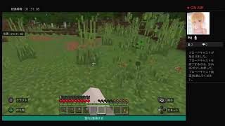 【マインクラフト】#2 拠点周り整備