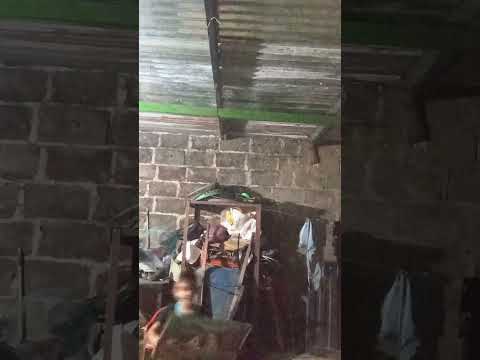 15 de octubre de 2025