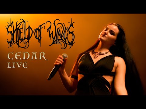 Shield of Wings - Cedar (Live)
