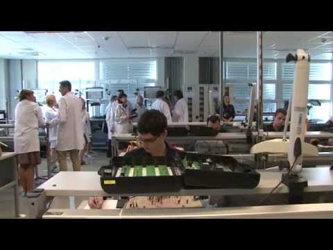 15 éves a Bosch hatvani telephelye