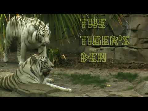 August 22nd Power Trading Hour with David White on TFNN   2017