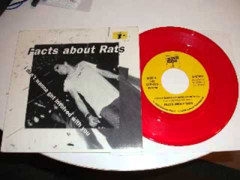 Facts About Rats - Full 3 Song EP (1992/Stanton Park Records)
