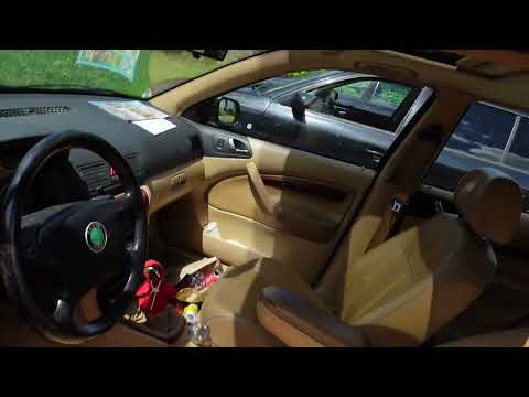 Dauertest Octavia #1 auf dem Weg zum Kilometermillionär