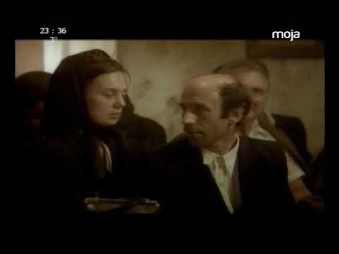 Petar Bozovic   Baba jebes li sta