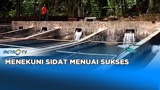 Download lagu Zero to Hero - Menekuni Sidat Menuai Sukses Dok. 2011 mp3