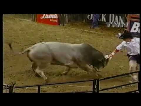Little Looney bucks Donald Owens - 00 PBR Portland