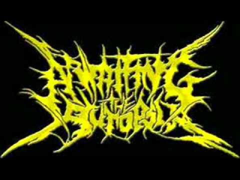 Awaiting The Autopsy - Backyard Autopsy