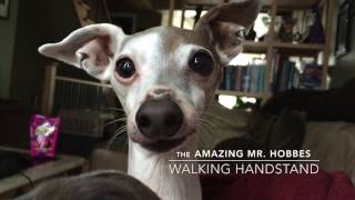 He doesn't like his winter boots