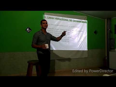 AS SETE LINHAS DA UMBANDA - LINHA VIBRACIONAL DE OXOSSI/OSSÃE (2ª Linha)