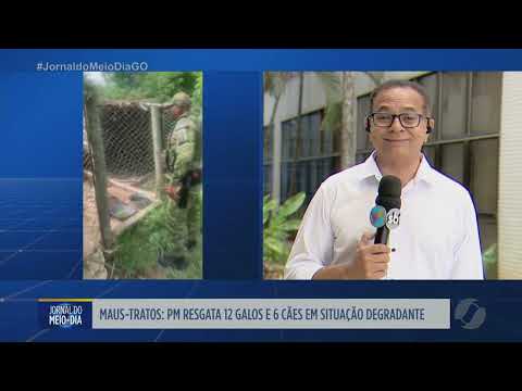 PM resgata cães e galos em situação degradante em Cristianópolis