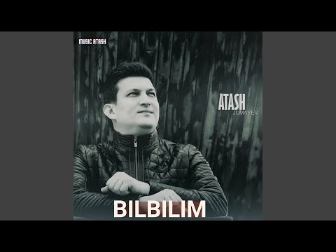 Bilbilim