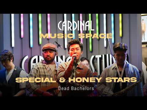 SPECIAL & HONEY STARS - Dead Bachelors Live at Cardinal x Java Jazz 2025