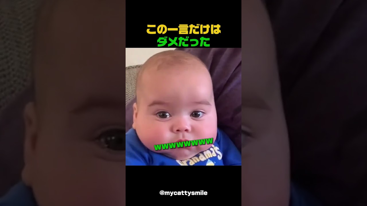 この一言だけはダメだった #ほっこり #癒し