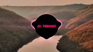 Download lagu DJ STEREO LOVE KANE X KAMU SELINGKUH LAGI VIRAL TIKTOK 2022DJ TEBANG mp3